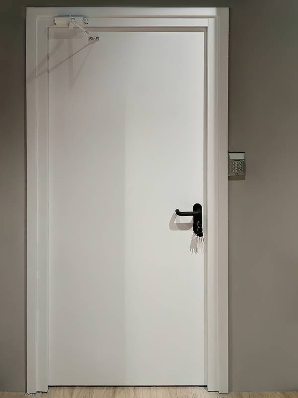 Дверь с доводчиком для магазина в ТЦ «Капитолий» Дверь с доводчиком для магазина в ТЦ «Капитолий»