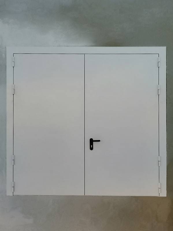 Двупольная дверь с наружной стороны (коттеджный поселок, Истринский р-н) Двупольная дверь с наружной стороны (коттеджный поселок, Истринский р-н)