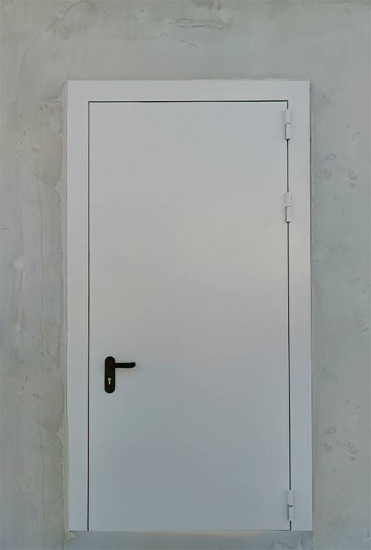 Огнестойкая дверь, фото спереди (коттеджный поселок, Истринский р-н) Огнестойкая дверь, фото спереди (коттеджный поселок, Истринский р-н)