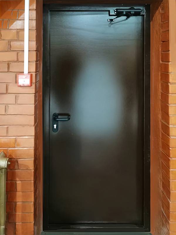 Огнестойкая дверь с внутренней стороны (ул. Николая Старостина) Огнестойкая дверь с внутренней стороны (ул. Николая Старостина)