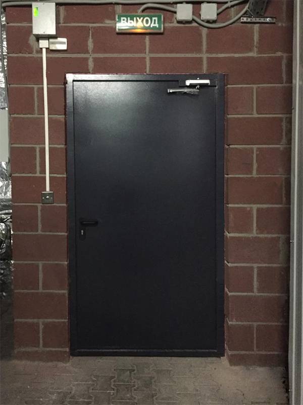 Огнезащитная дверь с доводчиком Огнезащитная дверь с доводчиком